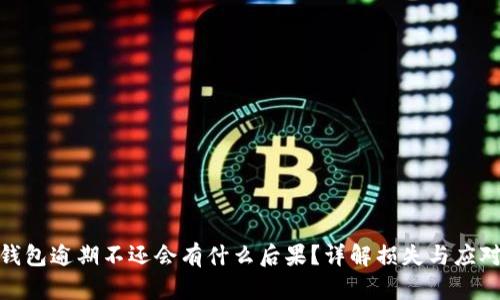 数字钱包逾期不还会有什么后果？详解损失与应对策略