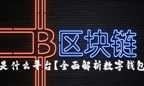 : 数字钱包号是什么平台？全面解析数字钱包的功能与应用
