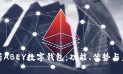 全面解析ABEY数字钱包：功能、优势与未来前景