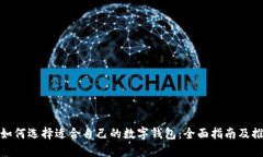 : 如何选择适合自己的数字钱包：全面指南及推荐