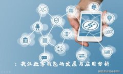 : 武汉数字钱包的发展与应