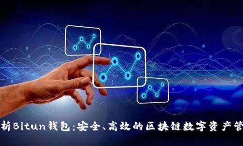 全面解析Bitun钱包：安全、高效的区块链数字资产管理工具