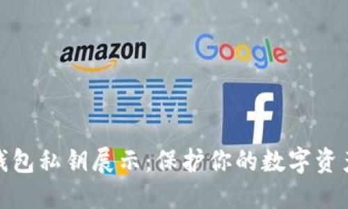 数字钱包私钥展示：保护你的数字资产安全