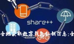 如何安全地获取数字钱包私钥信息：全面指南