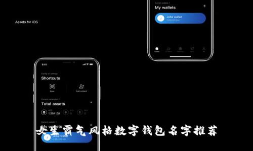 女生霸气风格数字钱包名字推荐