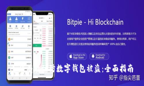 如何有效预防数字钱包被盗：全面指南