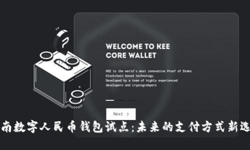云南数字人民币钱包试点：未来的支付方式新选择