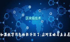 : 如果数字钱包的软件没了：应对策略与未来展望