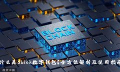 什么是Sblok数字钱包？全方位解析及使用指南
