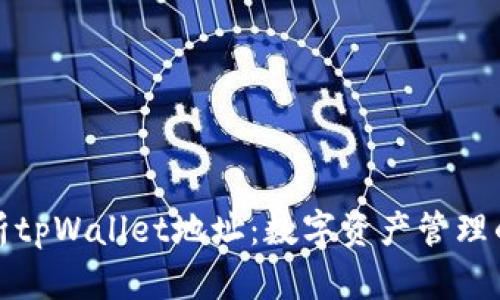 深入解析tpWallet地址：数字资产管理的新选择