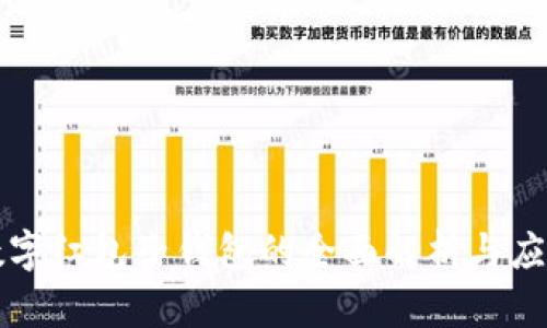 宁波数字红包子钱包的全面解析与应用指南