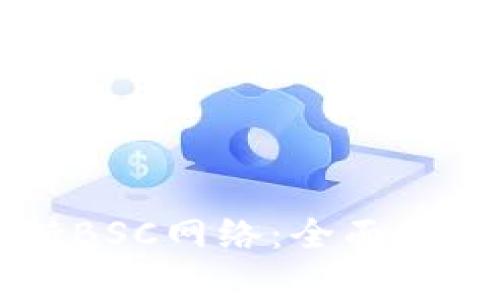 tpWallet支持BSC网络:全面解析与使用指南