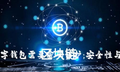 为什么数字钱包需要密码保护:安全性与风险分析