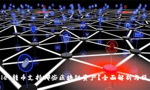 tpWallet转币支持哪些区块链资产?全面解析与操作指南