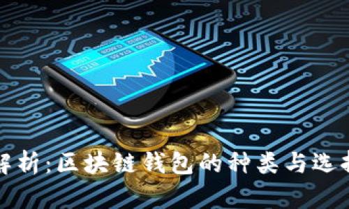 全面解析:区块链钱包的种类与选择指南