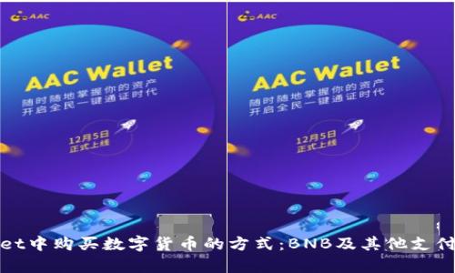 在tpWallet中购买数字货币的方式:BNB及其他支付选项详解