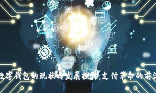 厦门数字钱包的现状与发展探讨:支付革命的前沿城市