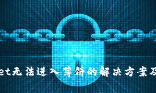 最新版tpWallet无法进入薄饼的解决方案及常见问题解析