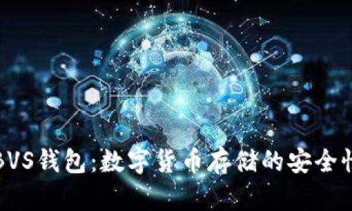 深入探讨BVS钱包:数字货币存储的安全性与可靠性