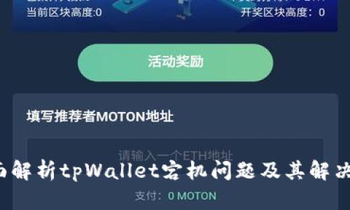 全面解析tpWallet宕机问题及其解决方案