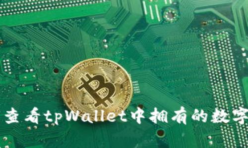 如何查看tpWallet中拥有的数字货币