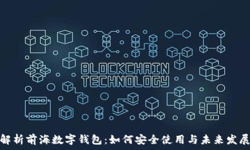   
全面解析前海数字钱包：如何安全使用与未来发展趋势