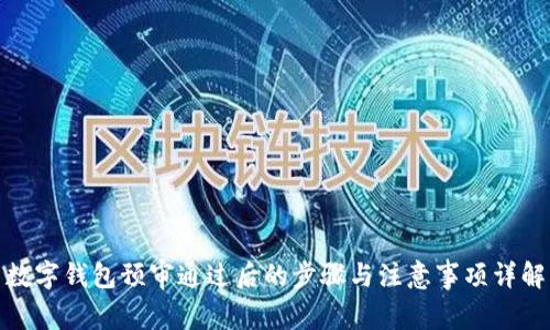 数字钱包预审通过后的步骤与注意事项详解