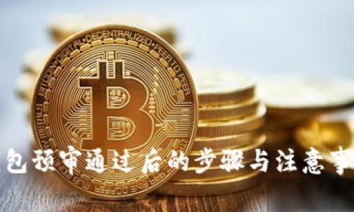 数字钱包预审通过后的步骤与注意事项详解