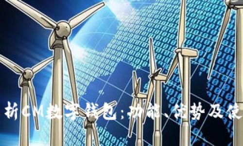 全面解析CM数字钱包：功能、优势及使用指南