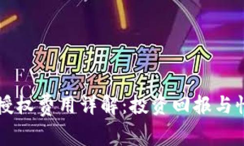 tpWallet授权费用详解：投资回报与性价比分析