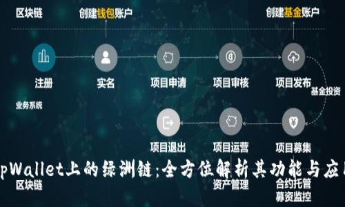 tpWallet上的绿洲链：全方位解析其功能与应用