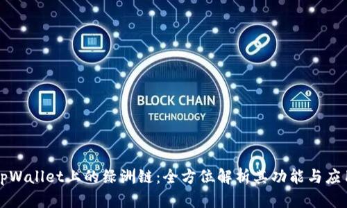 tpWallet上的绿洲链：全方位解析其功能与应用