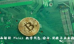 全面解析 Pulas 数字钱包：安全、便捷与未来趋势