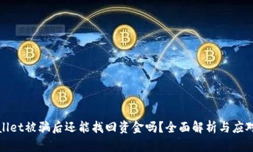 tpWallet被骗后还能找回资金吗？全面解析与应对策略