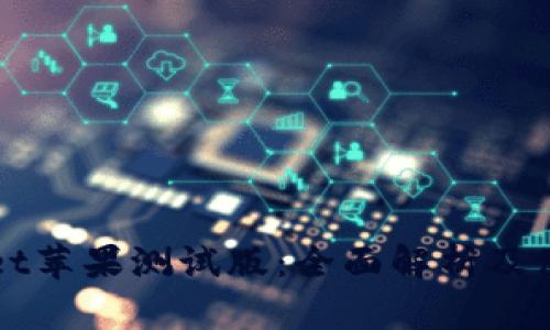 tpWallet苹果测试版：全面解析及使用指南