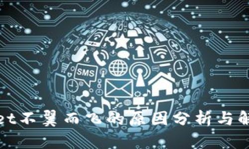 tpWallet不翼而飞的原因分析与解决方案