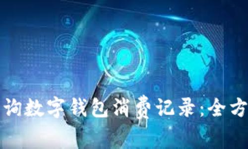 如何查询数字钱包消费记录：全方位指南
