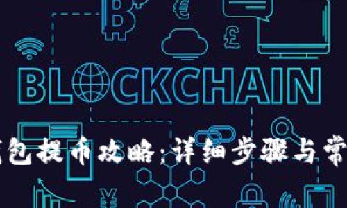 tpWallet钱包提币攻略：详细步骤与常见问题解析