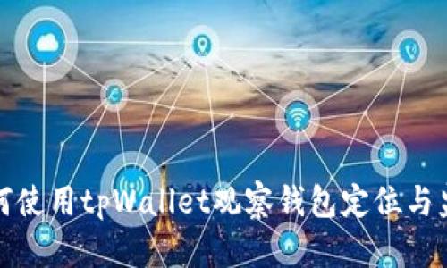 如何使用tpWallet观察钱包定位与监控