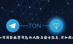 如何消除数字钱包的风险与安全隐患：详细指南