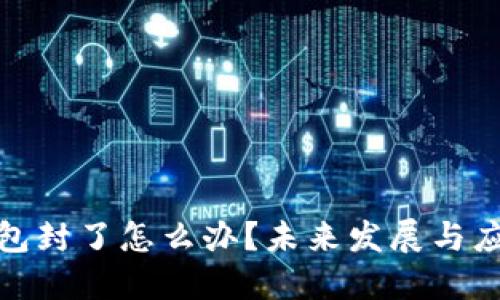 数字钱包封了怎么办？未来发展与应对策略