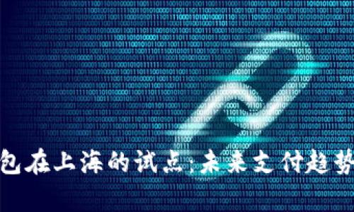 数字钱包在上海的试点：未来支付趋势的前瞻