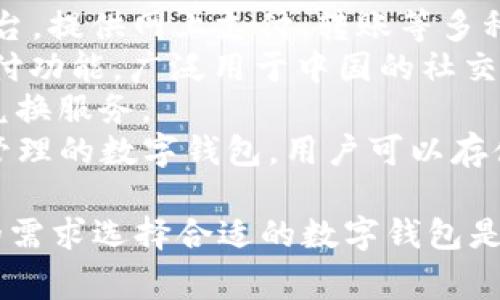 数字钱包是指一种用于存储、管理和使用电子货币或数字资产的工具，通常以软件或应用程序的形式存在。常见的数字钱包名称包括：

1. **PayPal** - 这是一个非常流行的在线支付系统，用户可以通过PayPal进行网上购物、转账等。
2. **Apple Pay** - 苹果公司推出的移动支付和数字钱包服务，允许用户通过iPhone、iPad等设备进行支付。
3. **Google Pay** - 谷歌推出的数字钱包解决方案，用户可以通过手机完成支付及存储各种卡片信息。
4. **Venmo** - 一个社交支付平台，使用户可以轻松地转账和支付给朋友。
5. **Alipay（支付宝）** - 中国的一个电子支付平台，提供网上支付、转账等多种服务。
6. **WeChat Pay（微信支付）** - 微信内置的支付功能，广泛用于中国的社交和商业场景中。
7. **Skrill** - 提供在线支付和转账及电子货币兑换服务。
8. **Blockchain Wallet** - 一个支持虚拟货币管理的数字钱包，用户可以存储和交易比特币及其他加密货币。

每个数字钱包都有其独特的功能和优点，根据用户的需求选择合适的数字钱包是很重要的。