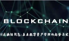 YSR区块链钱包：未来数字资产管理的趋势与发展