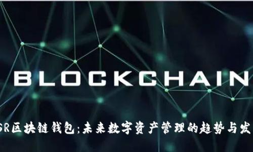 YSR区块链钱包：未来数字资产管理的趋势与发展
