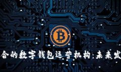 如何选择适合的数字钱包运营机构：未来发展趋