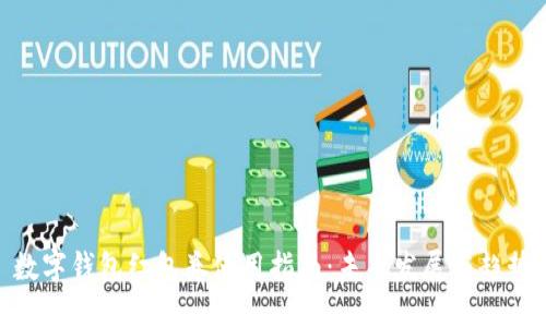 数字钱包红包券使用指南：未来发展与趋势