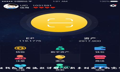 区块链钱包使用流程详解：从新手到高手的完整指南