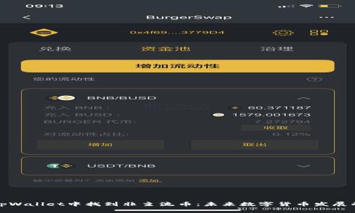 如何在tpWallet中找到非主流币：未来数字货币发展的新趋势