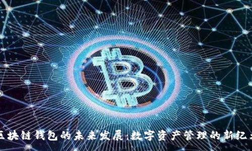 :
区块链钱包的未来发展：数字资产管理的新纪元